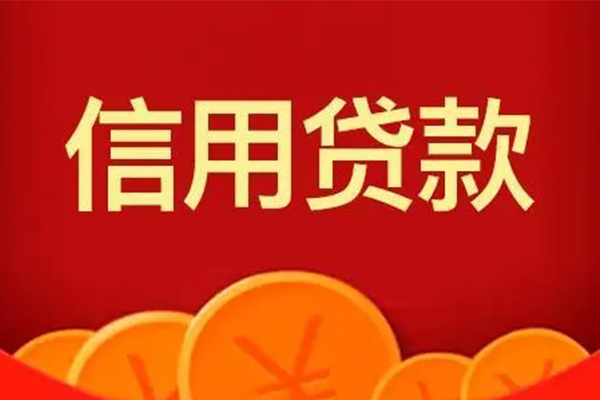 成都36空借空放-成都36私借空放当场拿钱-成都36个人工程贷款-第1张图片-成都私人借钱服务中心